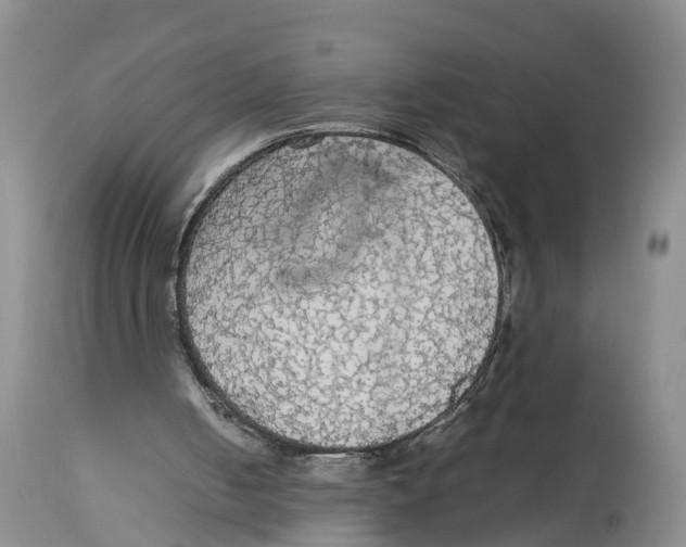 X0000114170050200911051537