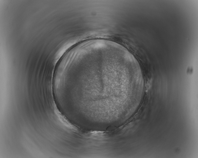 X0000114170052200911051537