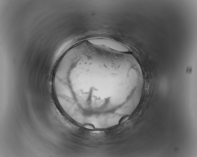 X0000114170053200911051537