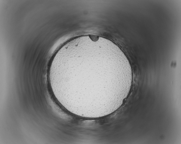 X0000114170054200911051537