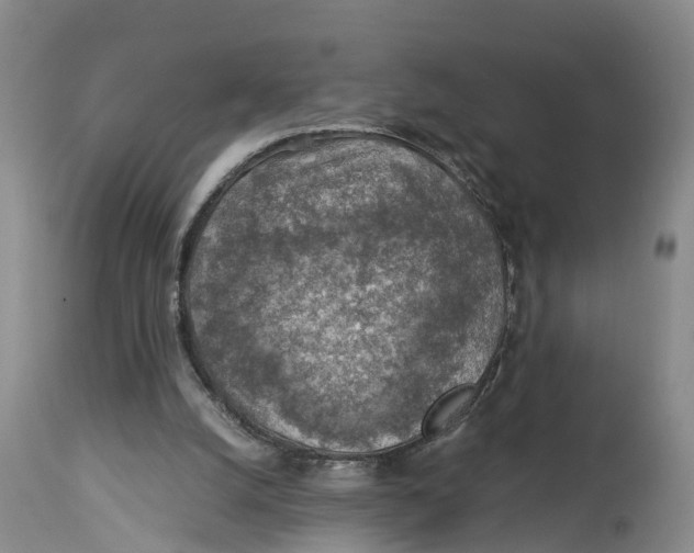 X0000114170056200911051537