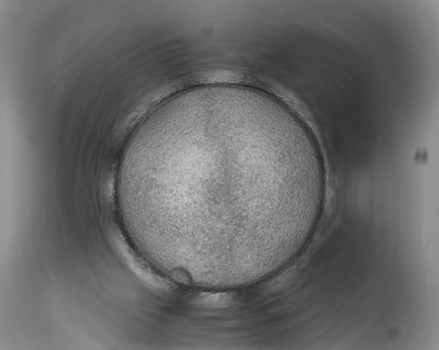 X0000114170057200911051537