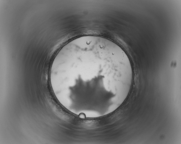 X0000114170059200911051537