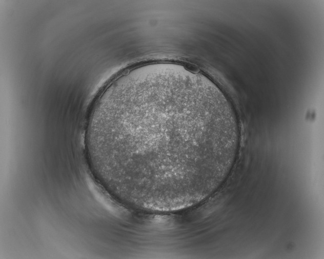 X0000114170060200911051537