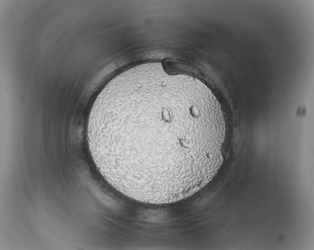 X0000114170063200911051537