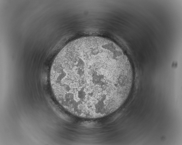 X0000114170065200911051537