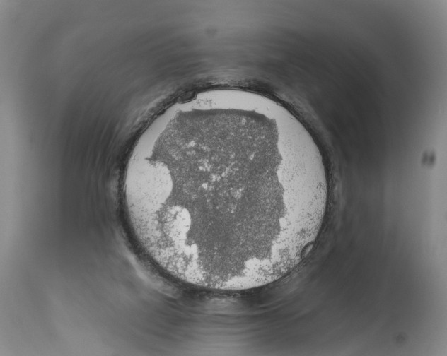 X0000114170066200911051537