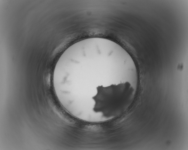 X0000114170067200911051537