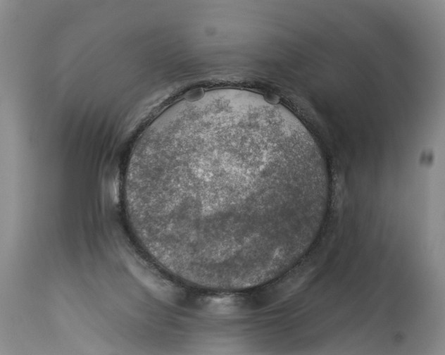 X0000114170068200911051537