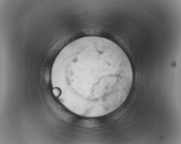 X0000114170069200911051537