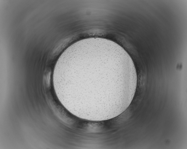 X0000114170070200911051537