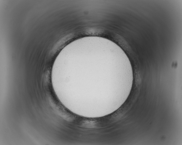 X0000114170071200911051537