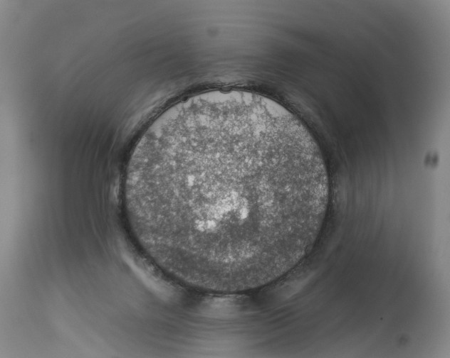 X0000114170072200911051537