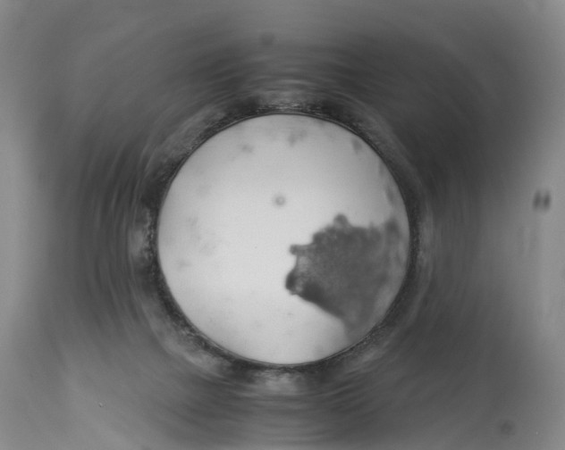 X0000114170073200911051537