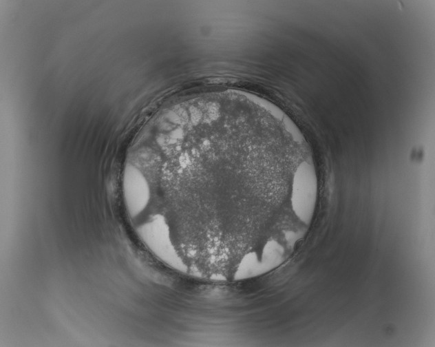 X0000114170074200911051537