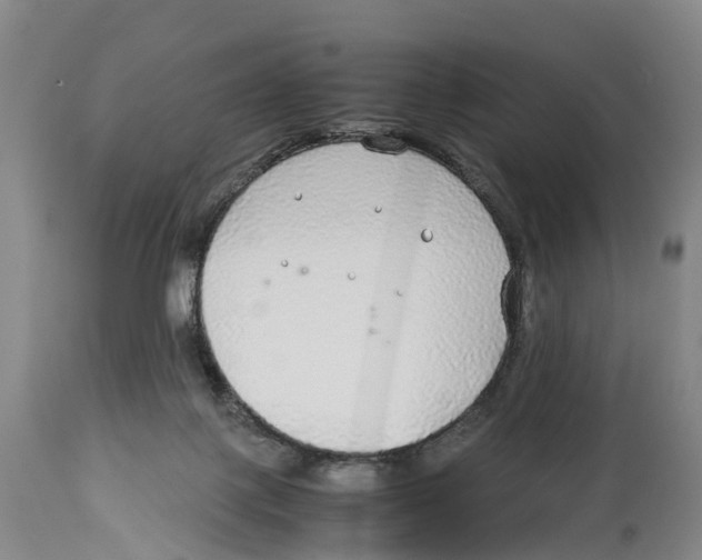 X0000114170075200911051537