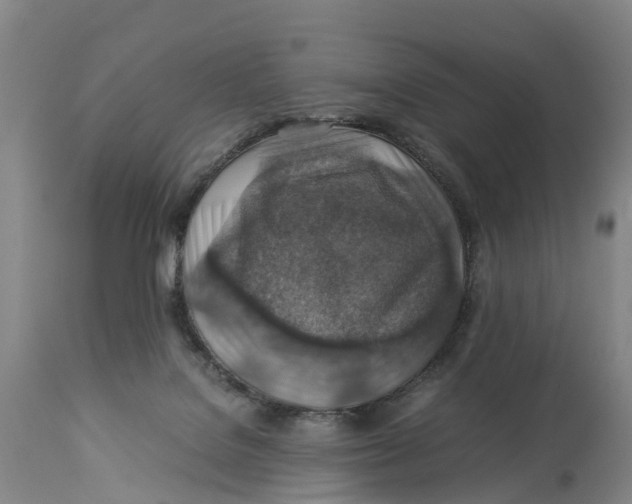 X0000114170076200911051537