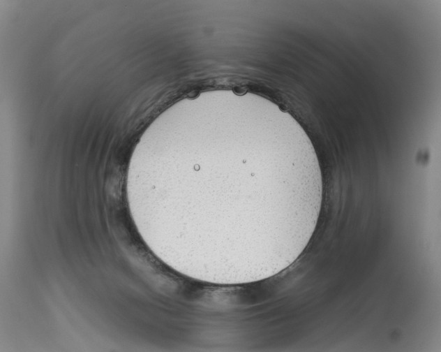 X0000114170078200911051537