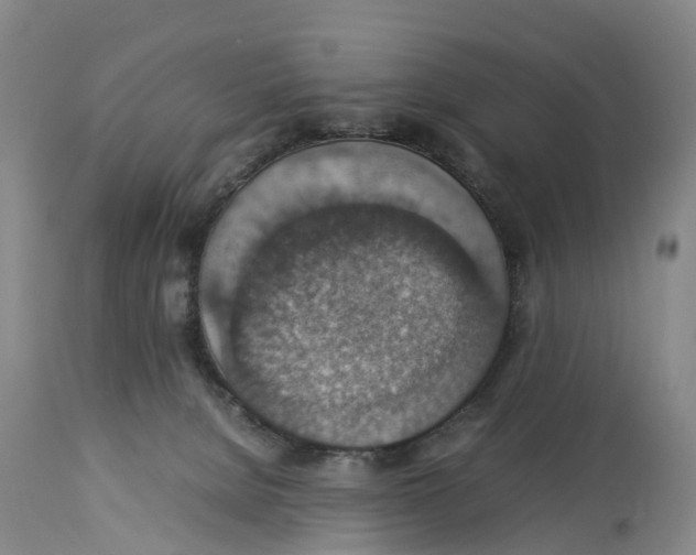 X0000114170080200911051537