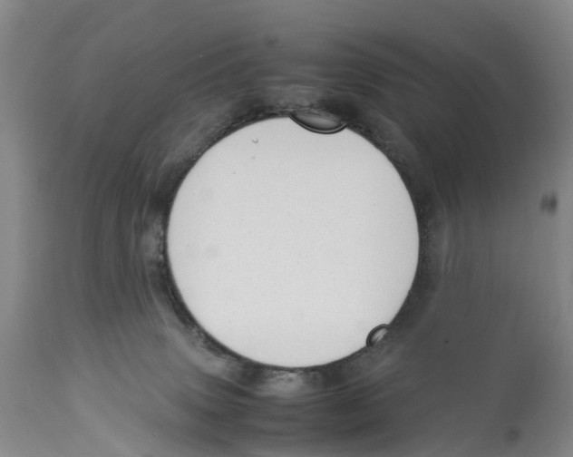 X0000114170083200911051537