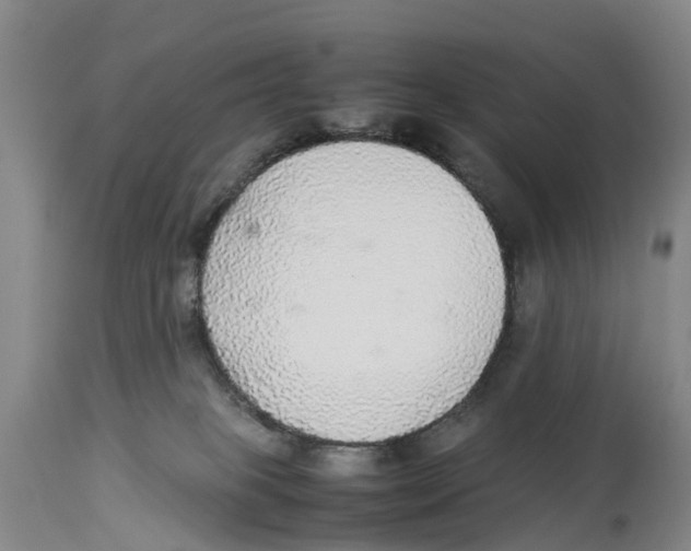 X0000114170085200911051537