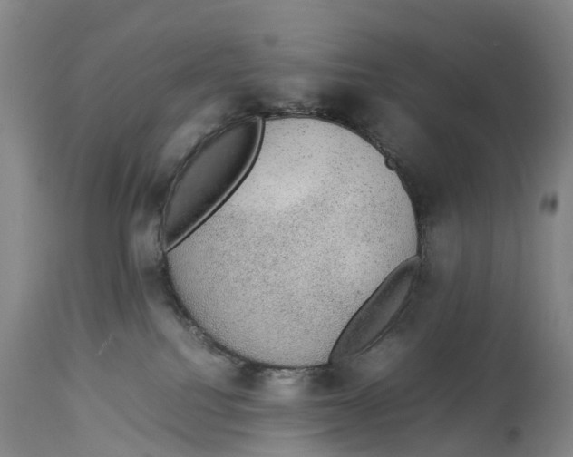 X0000114170088200911051537