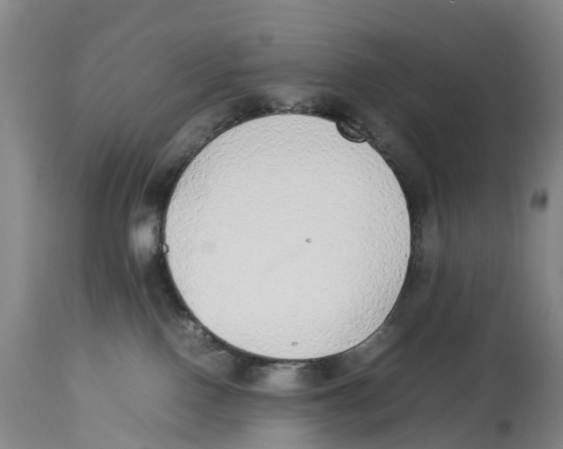 X0000114170090200911051537