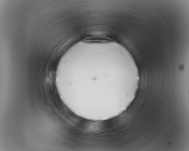 X0000114170093200911051537