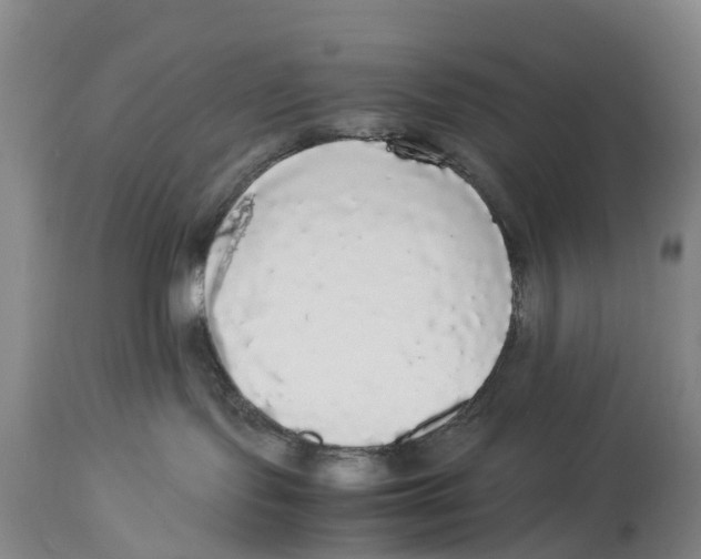 X0000114170095200911051537