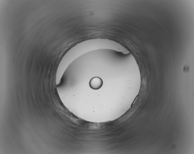 X0000114170096200911051537