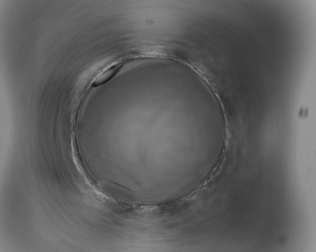 X0000114170097200911051537