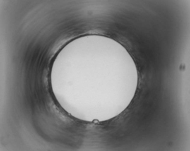 X0000114170098200911051537