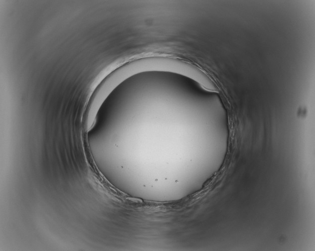 X0000114170100200911051537