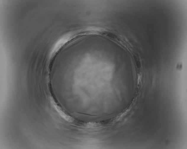 X0000114170101200911051537