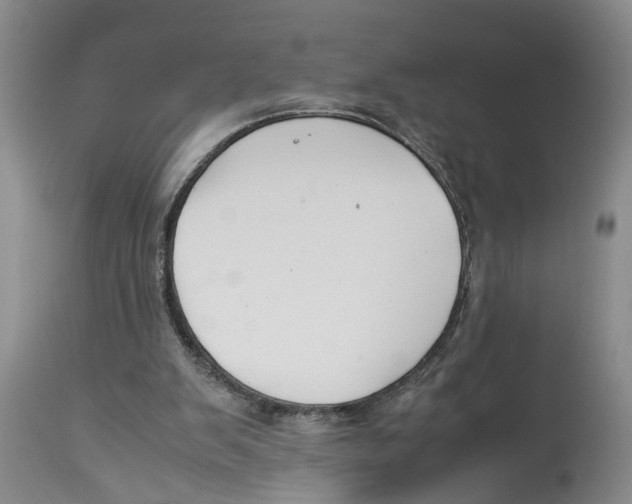 X0000114170103200911051537