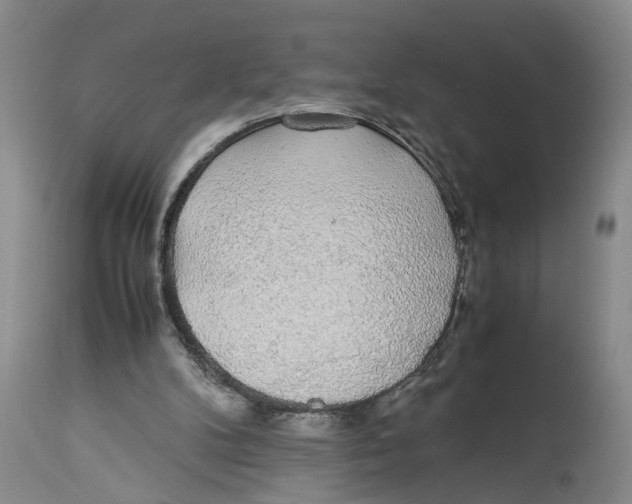 X0000114170104200911051537