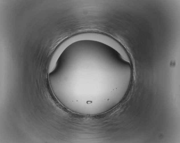 X0000114170105200911051537