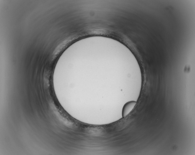 X0000114170106200911051537