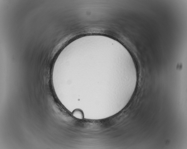 X0000114170107200911051537