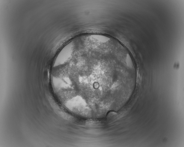 X0000114170109200911051537