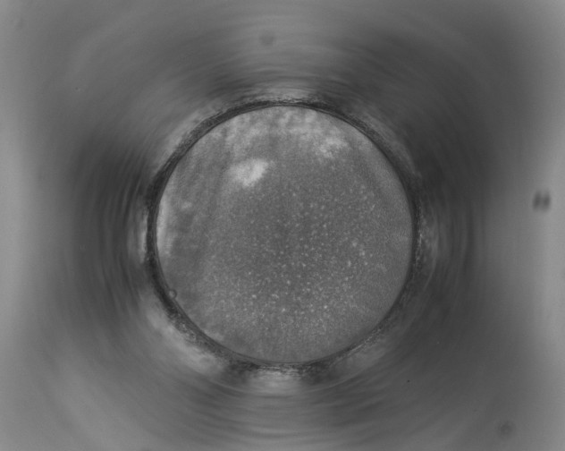 X0000114170110200911051537