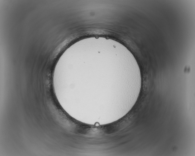 X0000114170111200911051536