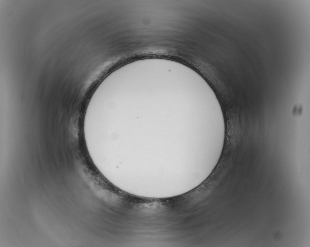 X0000114170112200911051536