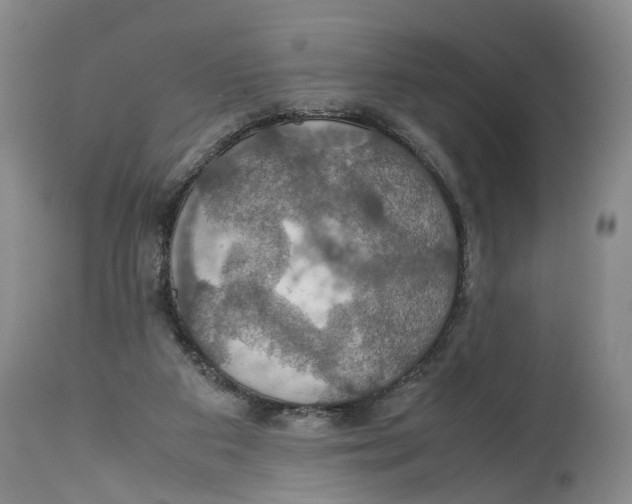 X0000114170113200911051536