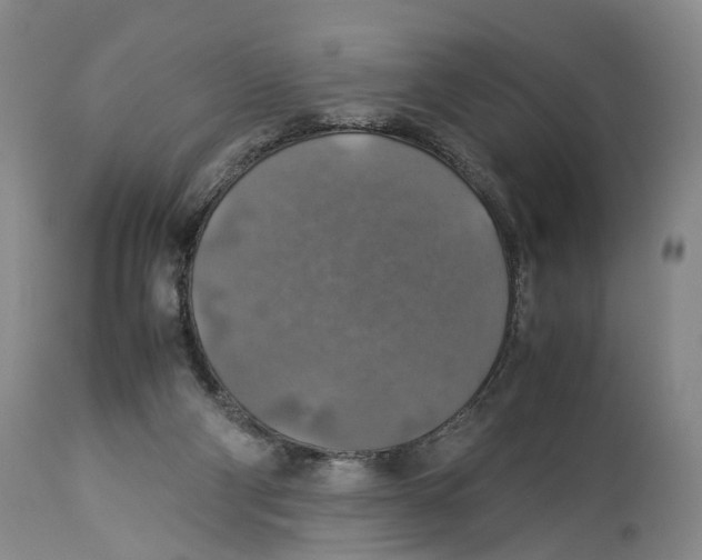 X0000114170114200911051536