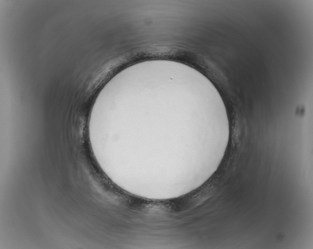 X0000114170115200911051536