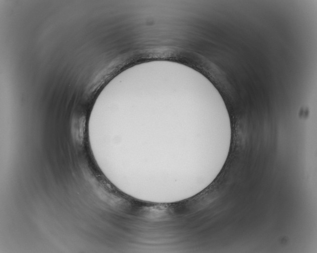 X0000114170118200911051536