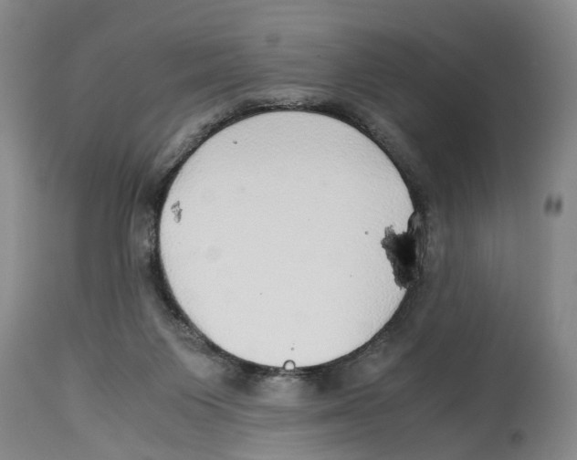 X0000114170119200911051536