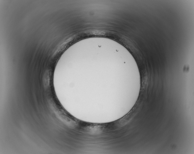 X0000114170120200911051536