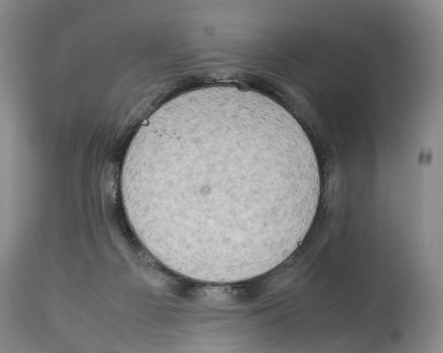 X0000114170121200911051536